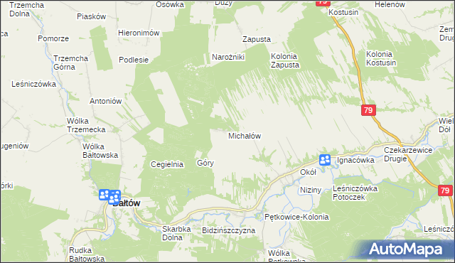mapa Michałów gmina Bałtów, Michałów gmina Bałtów na mapie Targeo