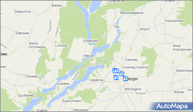mapa Mrówki gmina Wilczyn, Mrówki gmina Wilczyn na mapie Targeo