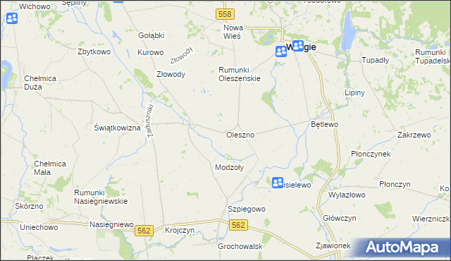 mapa Oleszno gmina Wielgie, Oleszno gmina Wielgie na mapie Targeo