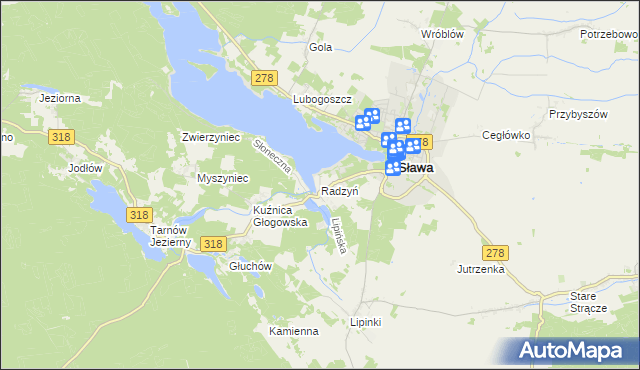 mapa Radzyń gmina Sława, Radzyń gmina Sława na mapie Targeo