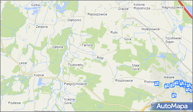 mapa Rogi gmina Niemodlin, Rogi gmina Niemodlin na mapie Targeo