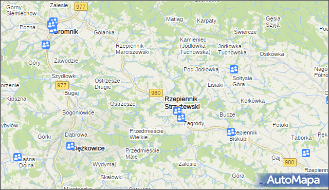 mapa Rzepiennik Strzyżewski, Rzepiennik Strzyżewski na mapie Targeo