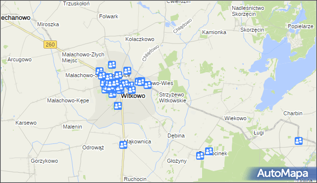 mapa Strzyżewo Witkowskie, Strzyżewo Witkowskie na mapie Targeo