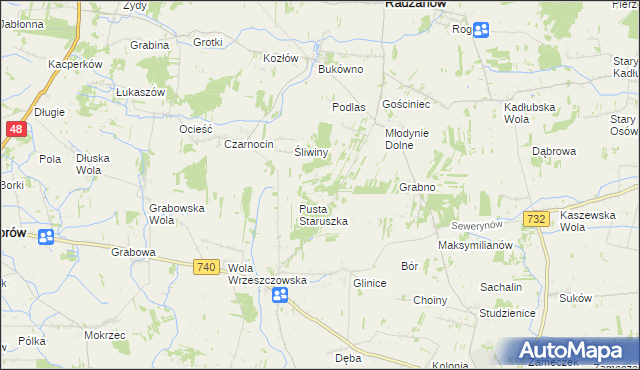 mapa Witoldów gmina Przytyk, Witoldów gmina Przytyk na mapie Targeo