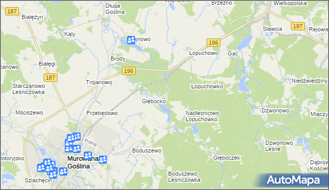 mapa Worowo gmina Murowana Goślina, Worowo gmina Murowana Goślina na mapie Targeo
