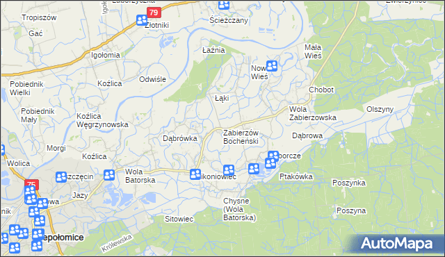 mapa Zabierzów Bocheński, Zabierzów Bocheński na mapie Targeo