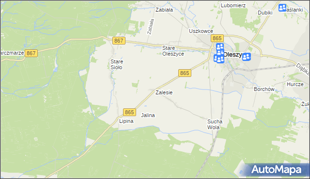 mapa Zalesie gmina Oleszyce, Zalesie gmina Oleszyce na mapie Targeo