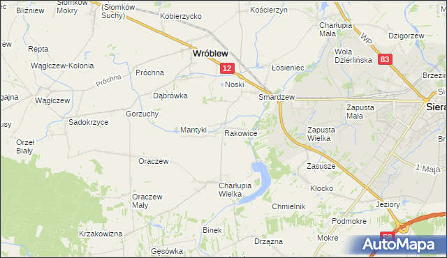 mapa Rakowice gmina Wróblew, Rakowice gmina Wróblew na mapie Targeo