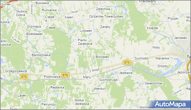 mapa Borowiec gmina Tarczyn, Borowiec gmina Tarczyn na mapie Targeo