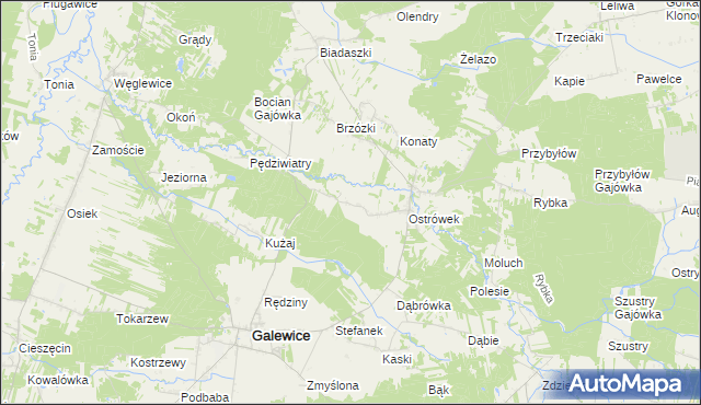 mapa Kaźmirów, Kaźmirów na mapie Targeo