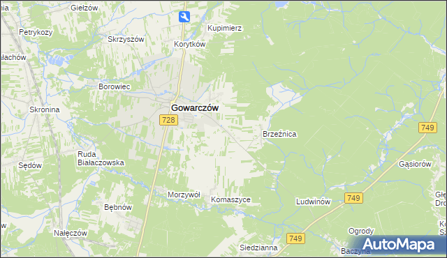 mapa Rogówek gmina Gowarczów, Rogówek gmina Gowarczów na mapie Targeo