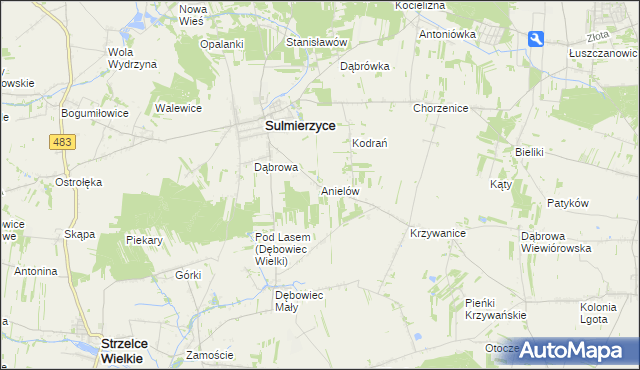mapa Anielów gmina Sulmierzyce, Anielów gmina Sulmierzyce na mapie Targeo
