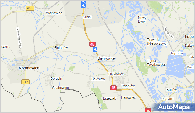 mapa Bieńkowice gmina Krzyżanowice, Bieńkowice gmina Krzyżanowice na mapie Targeo