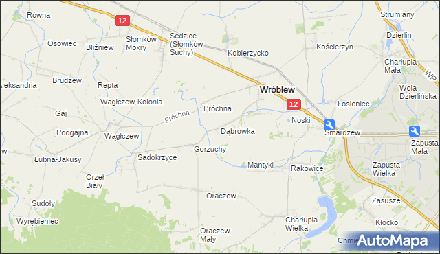 mapa Dąbrówka gmina Wróblew, Dąbrówka gmina Wróblew na mapie Targeo
