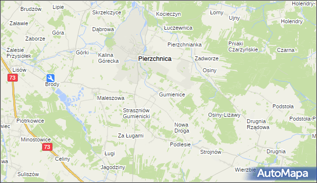 mapa Gumienice gmina Pierzchnica, Gumienice gmina Pierzchnica na mapie Targeo