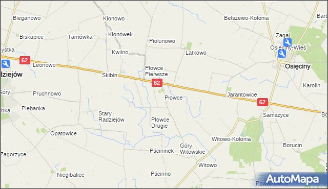 mapa Płowce gmina Radziejów, Płowce gmina Radziejów na mapie Targeo