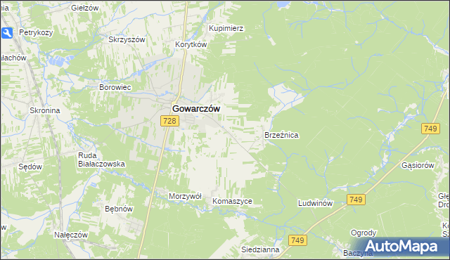 mapa Rogówek gmina Gowarczów, Rogówek gmina Gowarczów na mapie Targeo