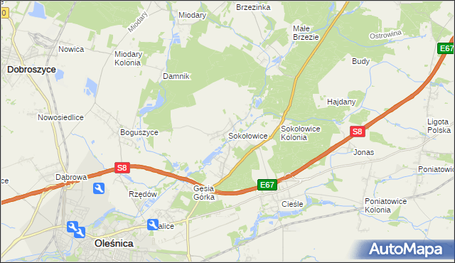 mapa Sokołowice gmina Oleśnica, Sokołowice gmina Oleśnica na mapie Targeo