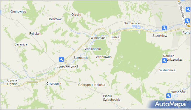 mapa Widniówka gmina Gorzków, Widniówka gmina Gorzków na mapie Targeo
