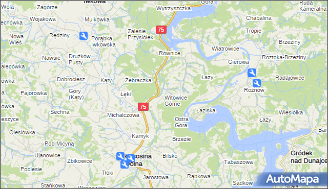 mapa Witowice Górne, Witowice Górne na mapie Targeo