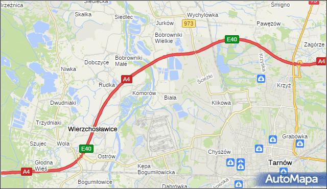 mapa Biała gmina Tarnów, Biała gmina Tarnów na mapie Targeo