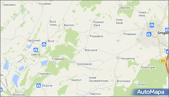 mapa Biskupice gmina Przemęt, Biskupice gmina Przemęt na mapie Targeo