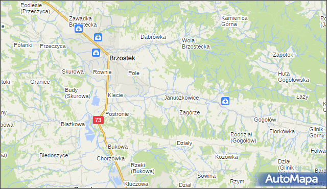 mapa Januszkowice gmina Brzostek, Januszkowice gmina Brzostek na mapie Targeo