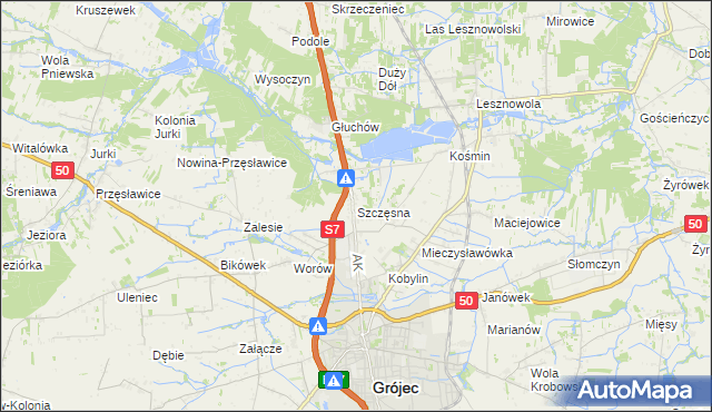 mapa Szczęsna, Szczęsna na mapie Targeo