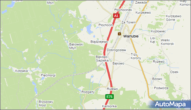 mapa Bąkowo Gajówka gmina Warlubie, Bąkowo Gajówka gmina Warlubie na mapie Targeo