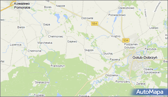 mapa Skępsk, Skępsk na mapie Targeo