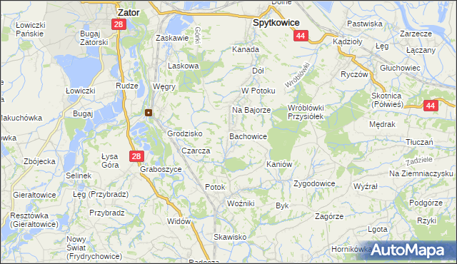 mapa Bachowice, Bachowice na mapie Targeo