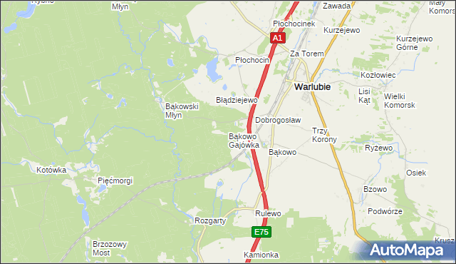 mapa Bąkowo Gajówka gmina Warlubie, Bąkowo Gajówka gmina Warlubie na mapie Targeo