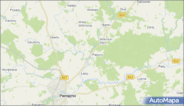 mapa Pajtuny gmina Pieniężno, Pajtuny gmina Pieniężno na mapie Targeo