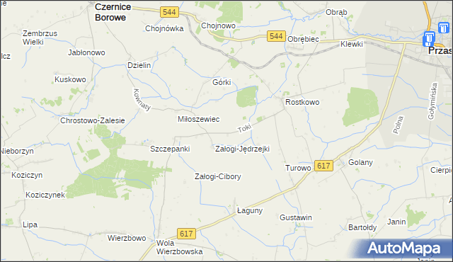 mapa Toki gmina Czernice Borowe, Toki gmina Czernice Borowe na mapie Targeo