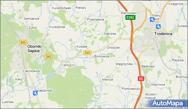 mapa Borkowice gmina Oborniki Śląskie, Borkowice gmina Oborniki Śląskie na mapie Targeo