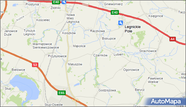 mapa Czarnków gmina Legnickie Pole, Czarnków gmina Legnickie Pole na mapie Targeo