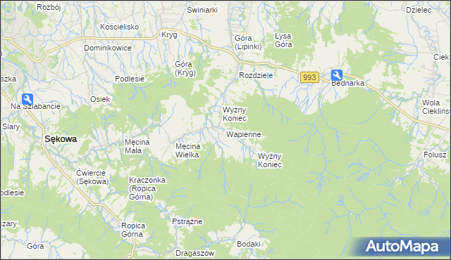 mapa Wapienne, Wapienne na mapie Targeo