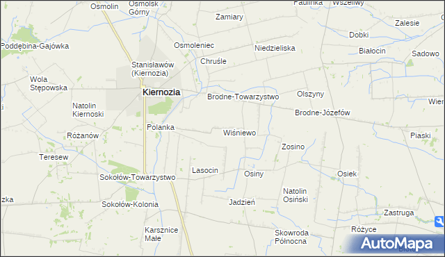 mapa Wiśniewo gmina Kiernozia, Wiśniewo gmina Kiernozia na mapie Targeo