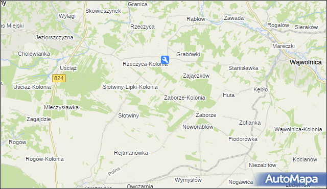 mapa Zaborze-Kolonia, Zaborze-Kolonia na mapie Targeo