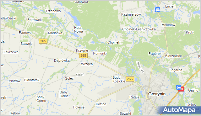 mapa Nagodów gmina Gostynin, Nagodów gmina Gostynin na mapie Targeo