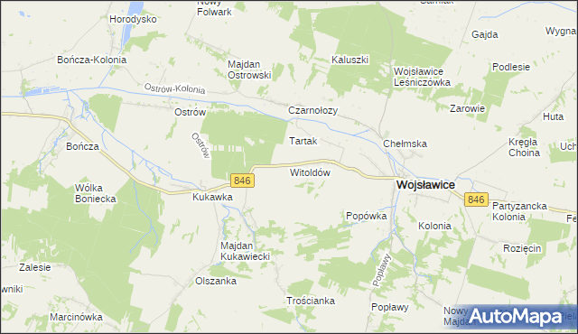 mapa Witoldów gmina Wojsławice, Witoldów gmina Wojsławice na mapie Targeo