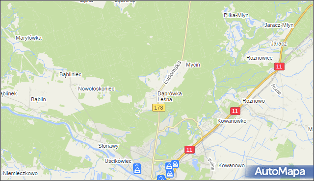 mapa Dąbrówka Leśna, Dąbrówka Leśna na mapie Targeo