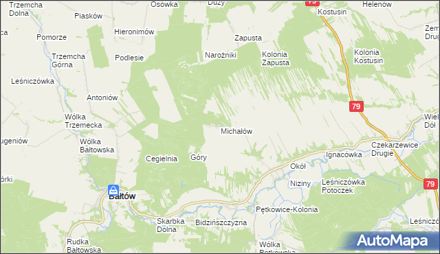 mapa Michałów gmina Bałtów, Michałów gmina Bałtów na mapie Targeo