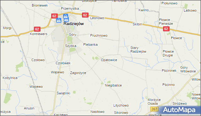mapa Opatowice gmina Radziejów, Opatowice gmina Radziejów na mapie Targeo