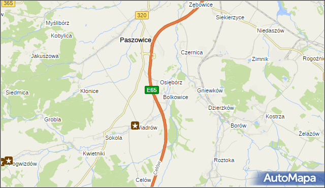 mapa Bolkowice gmina Paszowice, Bolkowice gmina Paszowice na mapie Targeo