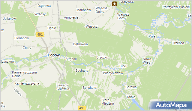 mapa Brzózki gmina Popów, Brzózki gmina Popów na mapie Targeo