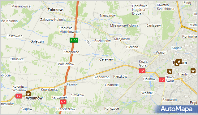 mapa Cerekiew gmina Zakrzew, Cerekiew gmina Zakrzew na mapie Targeo