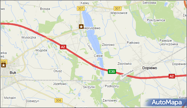 mapa Cieśle gmina Buk, Cieśle gmina Buk na mapie Targeo