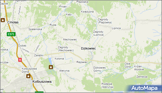 mapa Dzikowiec powiat kolbuszowski, Dzikowiec powiat kolbuszowski na mapie Targeo