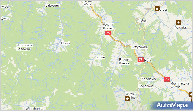 mapa Łosie gmina Łabowa, Łosie gmina Łabowa na mapie Targeo